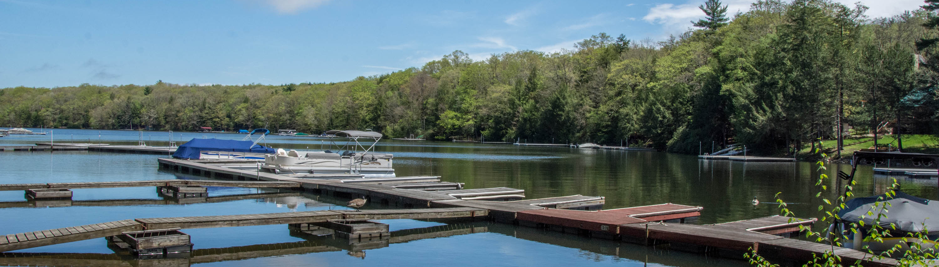 Spring at Deep Creek Lake | Railey Vacations | Deep Creek Lake