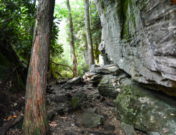 Image of Pathway in Rock Maze Garrett State Forest