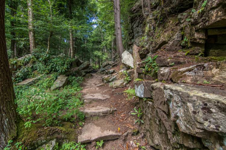Hiking trail at Swallow Falls State Park